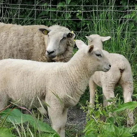 Alice Au Pays D'arrest 度假居 Arrest