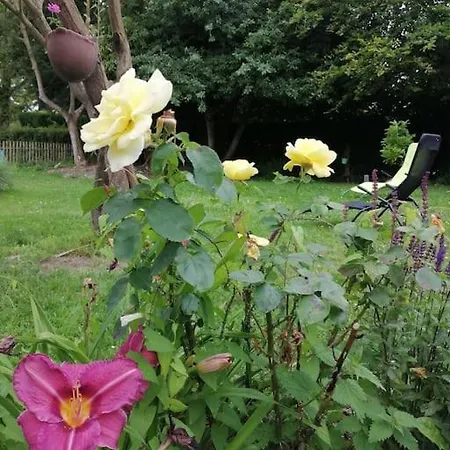 度假居 Alice Au Pays D'arrest Arrest