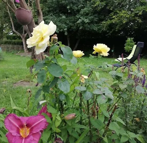 Holiday home Alice Au Pays D'arrest Arrest